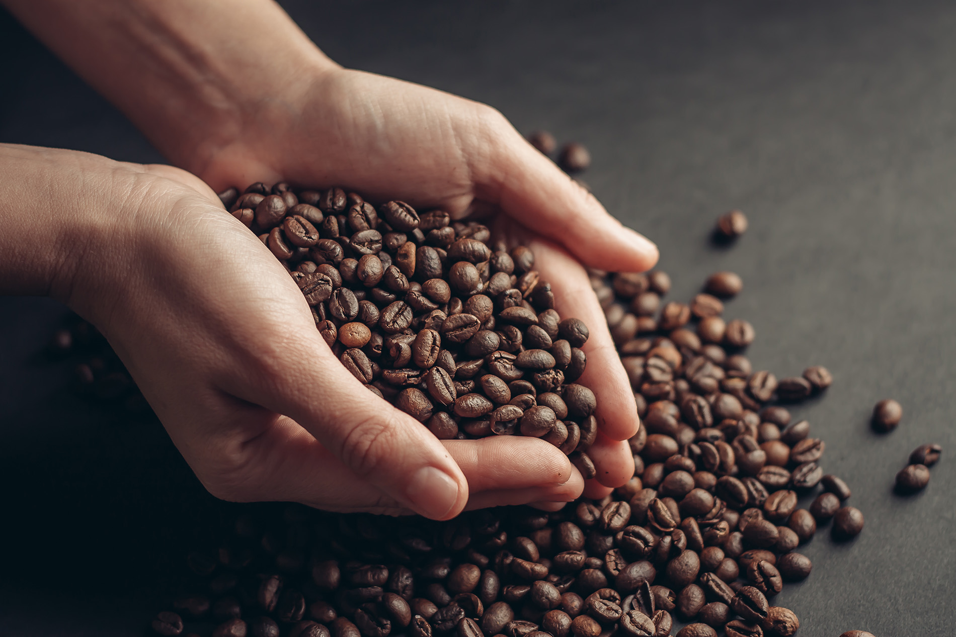 Omni-Roast-Kaffee