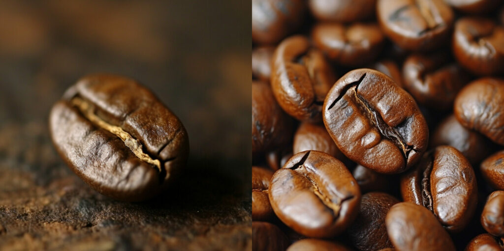 kaffeebohne-arabica-robusta