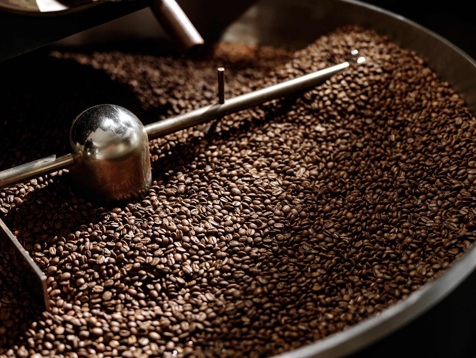 beste kaffeebohnen