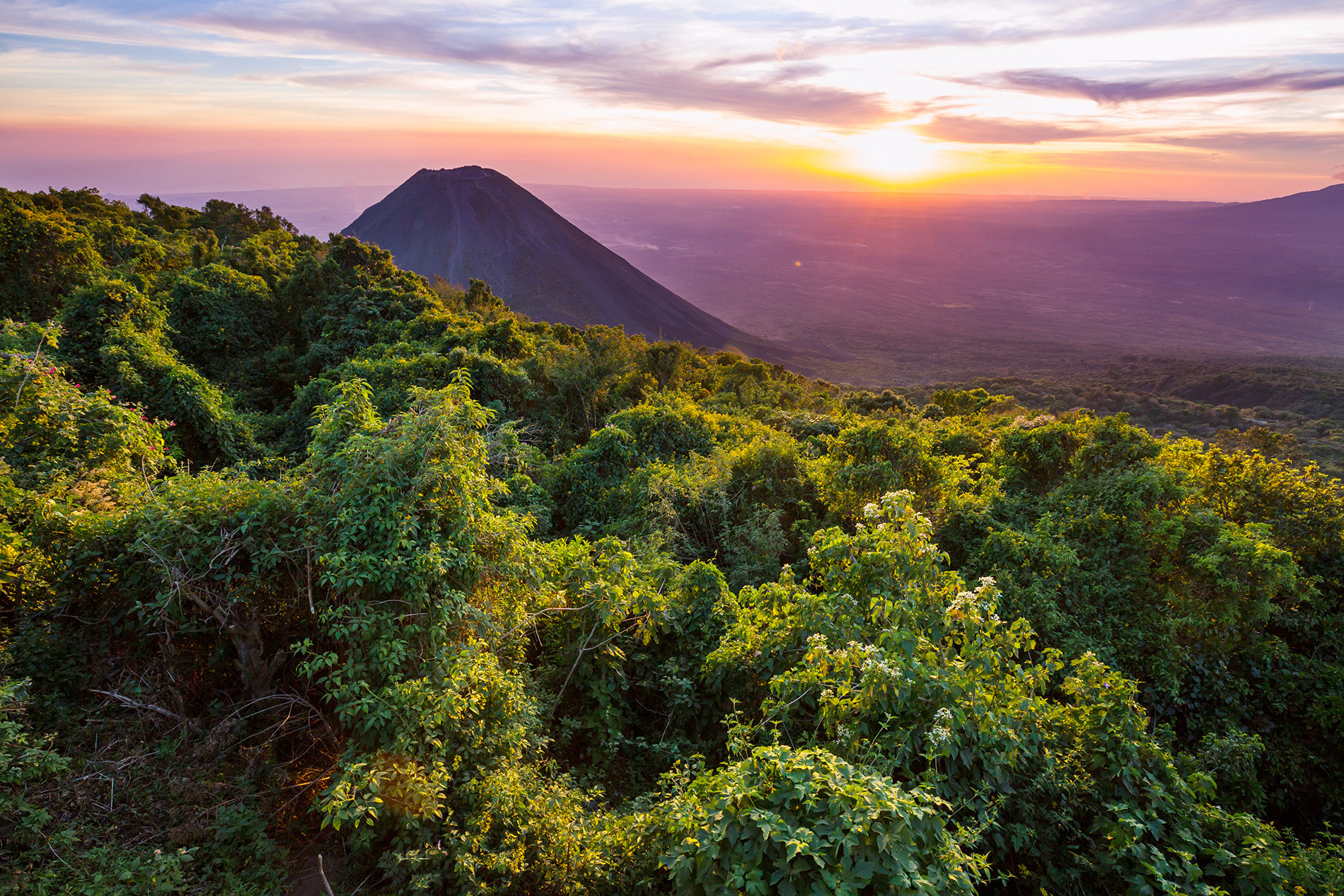 kaffee aus el salvador